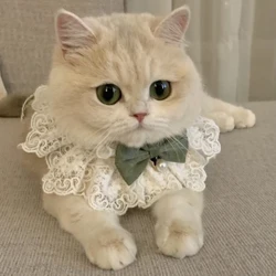 Perla txakur lepokoa zetazko bitxiak ezkontza katua txakurkumea zinta zapia zintzilikarioa Pet arkuak lepokoa satinatua Kitten osagarriak Pajarita opari
