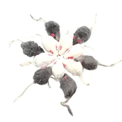 5/10Pcs False Mouse Cat Pet Toys Cat Long-Haired Tail Mice Sound Rattling Soft Real Rabbit Fur Sound Squeaky Cat Toy Accessories