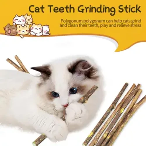 σετ Catnip Stick Natural Cat Cleaning Teeth Molar Toothpaste Stick Molar Toothpaste Stick Cleaning Teeth Αξεσουάρ για κατοικίδια