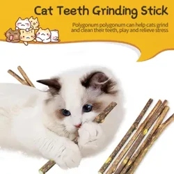 seti Catnip Stick Fa'amama Pusi Fa'amama Nifo Molar Toothpaste La'au Molar Toothpaste La'au Fa'amama Nifo Fagafao Mea