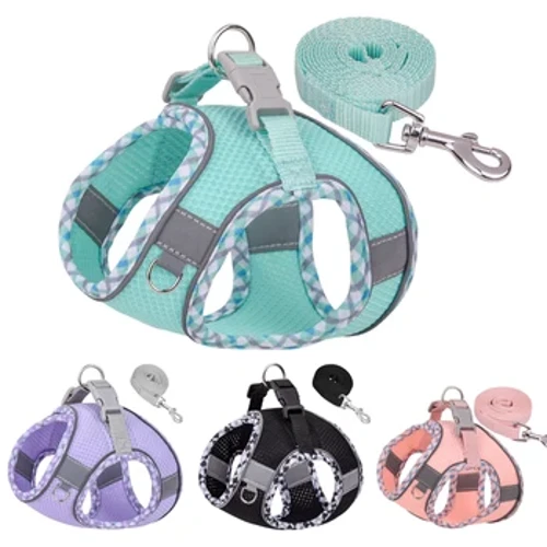 Pincher Siúl Allamuigh Úim Madraí agus Leash Socraigh do Mhadraí Beaga Meánmhéide Mascótaí Chihuahua Veisteanna Leasaithe Pomerian Accessories