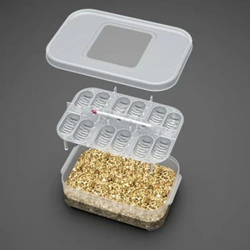 Terárium pro plazivé příslušenství Plazi PŘÍSLUŠENSTVÍ Ještělí Terrariums Bowls Egg Incubator Tray teploměr DIY inkubace