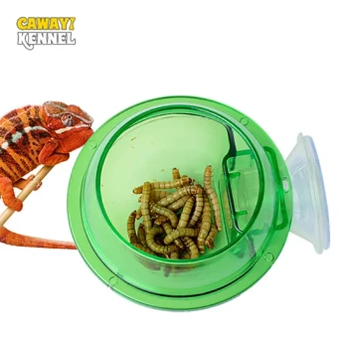 Arboreal Bò Sát Sống Chống Trốn Hút Ăn Tắc Kè Hoa Thực Phẩm Lưu Vực Tường 2 Lớp Bát Nhựa Cho Động Vật Nhỏ D9210