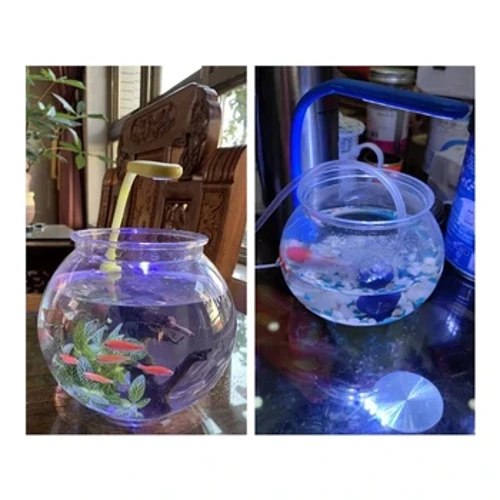 Isitsha sePlastiki seFish Sula i-Bubble Planter Terrarium yokuhlobisa iphathi ye-Centerpieces