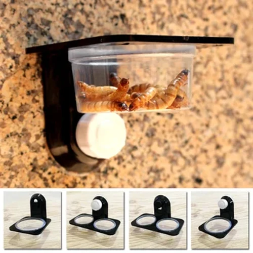 Heiß! 1 Stück Reptilientank Insekt Spinne Ameisennest Schlange Gecko Futter Wasser Futternapf Terrarium Zucht Futterspender Box Haustierbedarf
