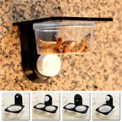 Okushisayo !1pcs I-Reptile Tank Insect I-Spider Ants Nest Snake Gecko Ukudla Amanzi Isitsha Sokuphakela I-Terrarium I-Terrarium Breeding feeders Ibhokisi Lezilwane Ezifuywayo Supplies