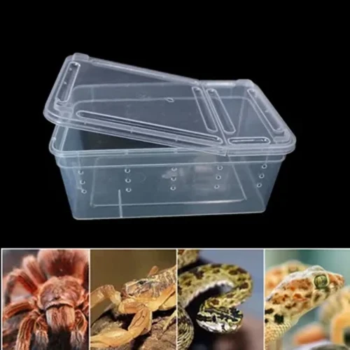 Lớn Terrarium Bò Sát Hộp Đựng Bát Thằn Lằn Nhện Môi Trường Sống Lồng Ấp Ấp Hộp Đựng Di Động Trong Suốt Nhựa Thú Cưng Nhà