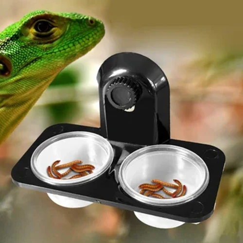 1pcs I-ABS Reptile Tank Ukudla Amanzi Okuphakelayo Isitsha Izinambuzane Isicabucabu Ants Nest Snake Gecko Terrarium Breeding feeders Box Pets Supplies