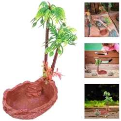 Isitsha Sesitsha Samanzi Esihuquzelayo Ufudu Ufunza Ufudu Inyoka Terrarium Isiphakeli Sesitsha Izitsha Ezinentshebe I-Dragon Bow Spider Feeder