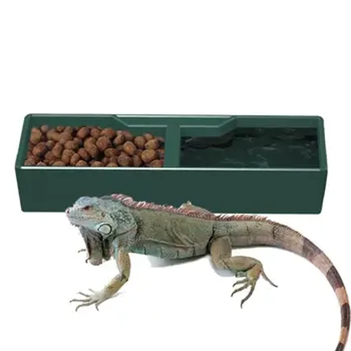 Reptilien-Futternapf 2 Fächer dunkelgrün Reptilien-Wassernapf Terrarienschalen Reptilien-Futterspender Lebensraumdekor für Eidechsen Frosch