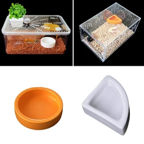 Bakuli mpya ya bakuli ya minyoo ya bakuli Mini ya Kulisha Kauri Bakuli za Terrarium
