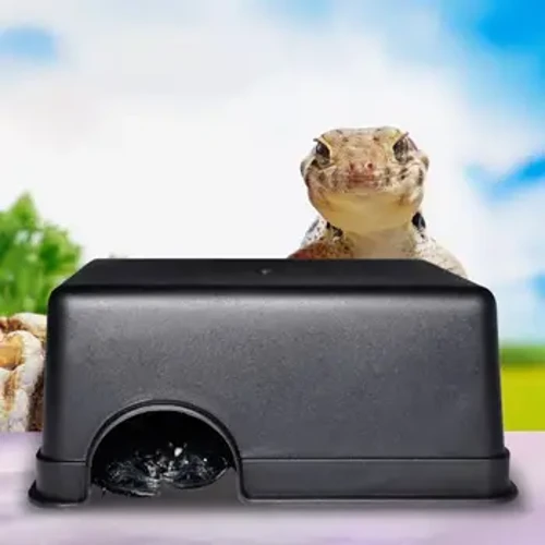Terrario txikia Narrasti Ezkutatzeko Kutxa Narrastiak Maskotak Jostailuak Gecko Sugea Aterpea Etxea Elikadura Ur-ontzia Haitzuloa Eskalada Kutxa Ezkutaleku txikia