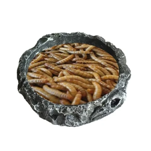 11XA Reptile Bowls Terrarium Feeding Worm Dish Reptile Mealworm Feeder Dish Resin Bowl para sa palaka Gecko Snake Spiders Turtles