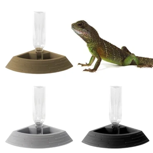 Otometi Mea Fafaga Reptile Fa'asuvai Lamu Mea'ai ma Vai ipu Fa'amea La'iti Manu Fa'amea Terrarium Ipu tulimanu mo Pili