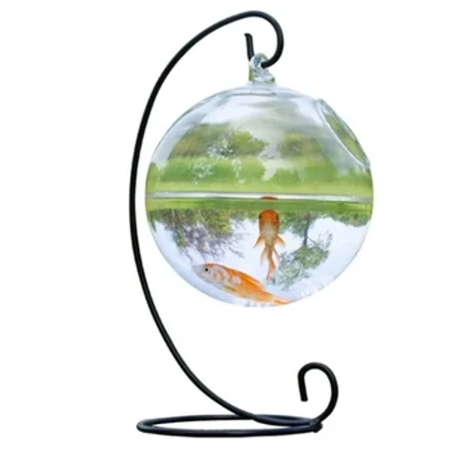 Parete per acquario con supporto Case per pesci Trasparente Terrario per piante Ciotola per pesci per acquario Vaso per piante di fiori Trasparente rotondo