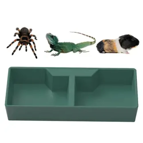 Futternapf für Reptilien, 2 Fächer, dunkelgrün, Wassernapf für Reptilien, Futternapf für Reptilien, Lebensraum, Dekoration, Terrarium, Schale für Eidechse, Frosch