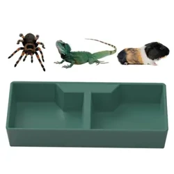 Reptile Feeding Dish 2 Compartments Dark Green Reptile Water Dish Reptile Feeder Habitat Decor Terrarium Dish For Lizard Frog