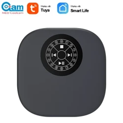 Tuya WiFi Controller per irrigatore Giardinaggio Timer di irrigazione intelligente Dispositivo di irrigazione automatico a 16 zone per Alexa Google Home