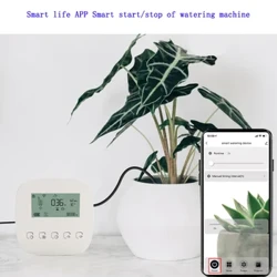 Smart Tuya Home Watering Timer di ricarica App di ricarica Micro Drip Irrigation Stazione meteo con display di umidità esterna