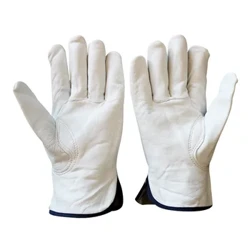 Amagilavu ​​Esikhumba Sezimvu Ukugibela Ukushayela I-MotoCycle Gloves Isikhumba Okuvikela Umsebenzi Amagilavu ​​Isikhumba Amagilavu ​​Omsebenzi Wamadoda