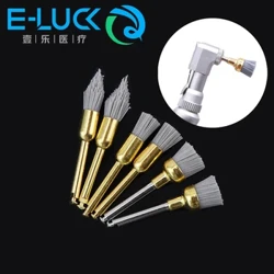 6 sany / guty Diş ýuwujy çotga Alýuminiý oksidi ýalpyldawuk profil çotgalary Contra burç eli üçin stomatologiýa materialy