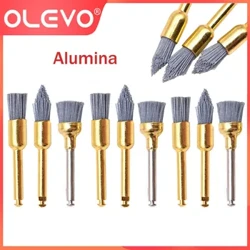 OLEVO 9 Pcs Alumina Zänn Poléieren Pinsel flaach / scharf / Schossel Typ Silicon Carbide Prophy Pinselen Zänn Whitening Dentistry Tools