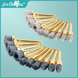 JOY DENTAL 10 adet Diş Parlatma Fırçası Alüminyum Oksit/Silikon Karbür Parlatma Profilaksi Fırçaları Ters Açı El Aleti