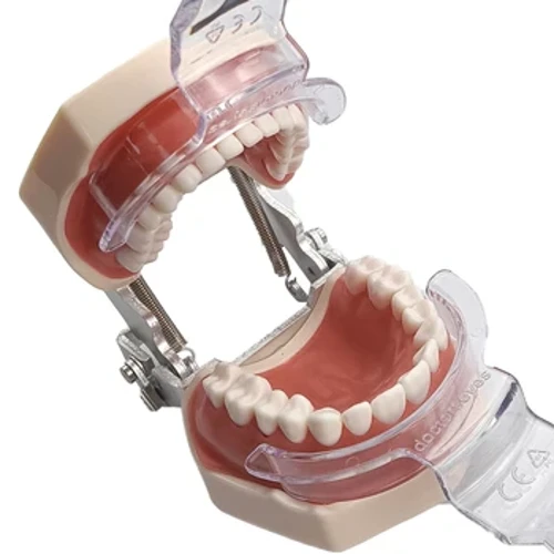 I-Dental T-Shape Intraoral Cheek Retractor I-Intraoral Lip Retractor I-Double End Retractor 4Usayizi Wezingane/abantu abadala Izinto Ezisetshenziswayo Zamazinyo