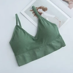 Lingerie da donna Intimo a tubo senza cuciture in pizzo con fascia per il petto Intimo a una linea con imbottitura sul petto push up imbottito senza reggiseno con spalline in acciaio