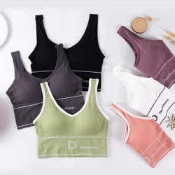 Seksi ženski sportski joga grudnjaci Push Up Bralette Prozračno bešavno donje rublje s ulošcima Skraćene majice za vježbanje u teretani Prsluk za trčanje