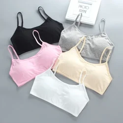 Áo Lót Nữ Cao Cấp Dành Cho Thanh Thiếu Niên 12 Tuổi Quần Lót 13 XS Quần Lót Thể Thao Trẻ Em Tập Áo Lót Xe Tăng Trẻ Em Quần Lót Quần Lót 7-14T 10 9