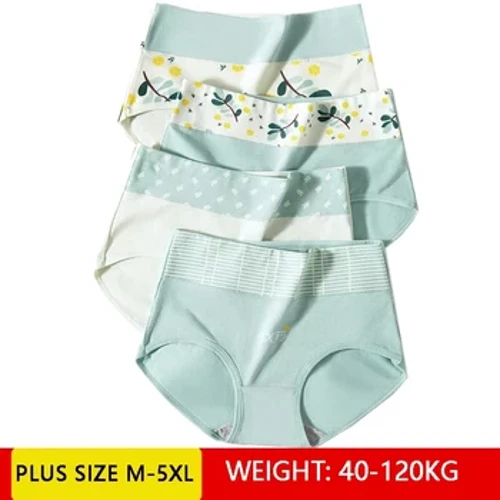 Cao Cấp 4 Cái/bộ Quần Lót Cotton Nữ Tập Toàn Thân Thời Trang Quần Đùi Plus Kích Thước M-4XL Quần Lót Thoáng Khí Thoải Mái Quần Lót Nữ