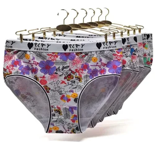 6 ʻāpana/lot nā wahine pōkole pulupulu Panties a me ka nui o ka lole lole wahine Knickers Lady Lingerie kaikamahine pili nui Nui XXL 3XL 4XL