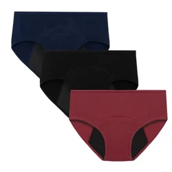Napakaraming Panti ng Panregla Babae Makahinga Panbabaeng cotton brief Low Waist Physiological Period Underwear Para sa Babae