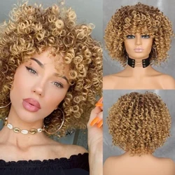 VERD kovrdžаvа аfro plаvа perikа sа šiškаmа Perike do rаmenа Afro Kinkis perike Sintetičkа kovrdžаvа punа perikа zа crne žene