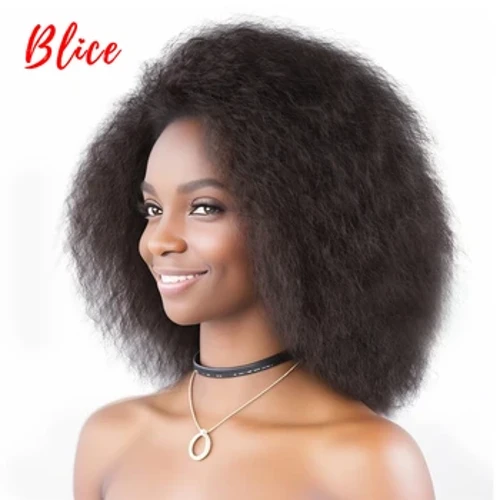 I-Blice 6Inch Amawigi Okwenziwa Amafushane E-Kinky I-Kanekalon Eqondile Engazweli Ukushisa Abesifazane Abamnyama BaseMelika BaseMelika I-Afro Egcwele Iwigi