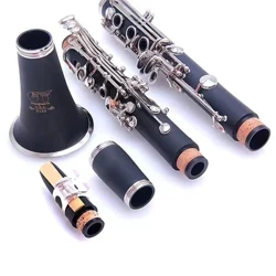 JYCL-E100S Clarinet B-flat Professional Clarinet 17 Keys ABS Silver Plated Jazz Musical Instruments Beginner Clarinet Gift