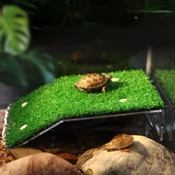 S/M/L Lapopoa Laumei Fa'a'aumu Fa'aola Fa'ate'a Fa'ato'aga Fa'asao Mutia Fa'ato'aga Moss Motu Aquarium Mea'ai Mea'ai Maumea.