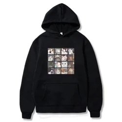 Sweat à capuche imprimé chat graphique Animal drôle, mode décontractée, pull à manches longues