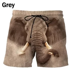 Animalia grafiko dibertigarri berriak Hondartzako galtza laburrak Ikusmen-anplifikazioa gizonezkoentzat 3D inprimatutako surf taulako galtza laburrak Hondartzako arropa Casual Lehortze azkarreko enbor