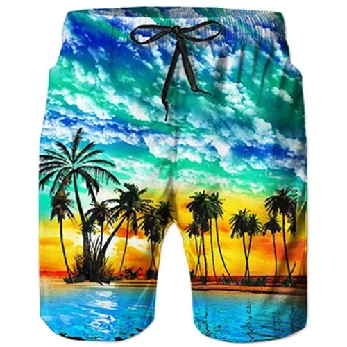 Shorts Traeth Pants Swimsuit Trofannol 2023 Haf Achlysurol Dynion Nofio Trunks 3D Argraffu Bwrdd Shorts Cool Ice Shorts ropa hombre Pants