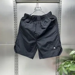 Männer Schnelldrockend Shorts Eis Seid Elastesch Taille Atmende Bréif Schweessabsorberende Shorts Riichtaus Strand Surfen Sports Shorts
