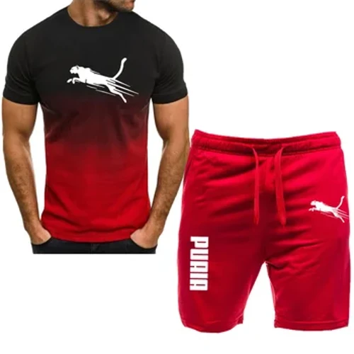 2024 NOUVEAU MENS SPOSTSWEAR Fitness Set Running Suit T-shirt décontracté + Shorts Set Breathable Jogging Sportswear 2 pièces pour hommes