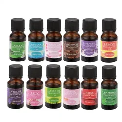 10ml Ola Cumhráin Fada Buan Uisce Intuaslagtha Gléasra Sliocht Bláth Aromas Nádúrtha Ola Riachtanach le haghaidh diffuser