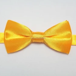 faisean Bow comhionannas vótaí buachaill soladach do leanaí páirtí féileacán bainise necktie na bpáistí 28colors