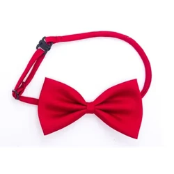 Bainise cóisir gleoite díolachán te nua Buachaillí Bowtie Muineál comhionannas vótaí Cheep Soladach Bow Ceangailte Féileacán Leanaí Leanbh & leanaí Accessories