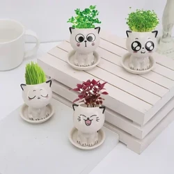 Pot Blodau Ceramig Siâp Cath Mini Cartŵn Planhigyn Potiog Ciwt Bwrdd Gwaith Crochen Mynegiad Cath Planhigyn Desg Pot Addurnwch Addurn Bach