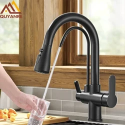Quyanre Matte Black Filtriran Žerjav Za Kuhinjo Pull Out Spray 360 Rotation Water Filter Pipa Trismerni Mešalnik Za Umivalnik Kuhinjska Pipa