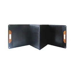 CSC Solarmodul 100 W 18 V, tragbare Falttasche, USB, DC-Ausgang, Solarladegerät, Außenstromversorgung für Handy, Stromgenerator